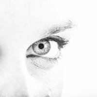 Nicolas BRUNEL - BRUNEL